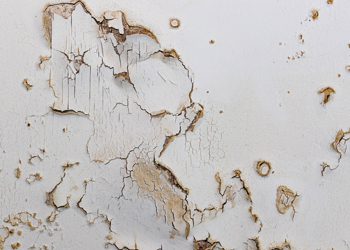 How to prevent damp