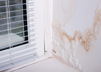 How to control damp