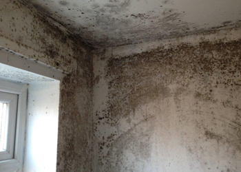 how to prevent mould