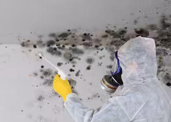 Mould removal